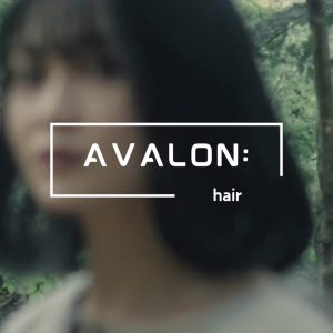Avalon:hairのアイコンとモデルの画像