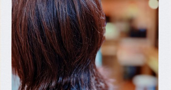 白髪でもおしゃれに染まる。“隠す”から“楽しむ”へ変わる。白髪染めとおしゃれ染めのハイブリッドヘアカラー